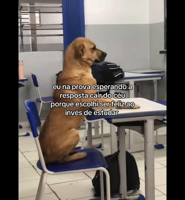 @republicadoss_67