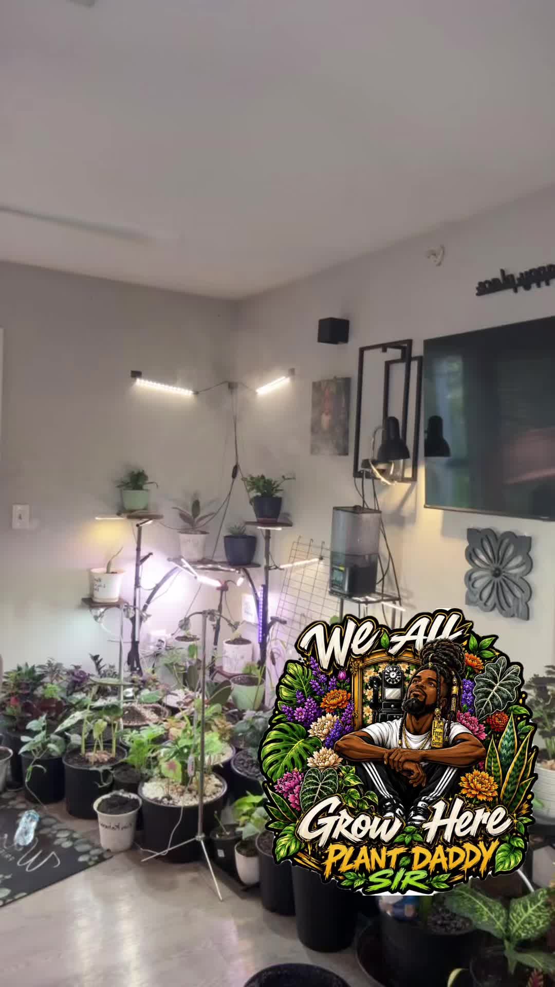 @Plant daddy Sir