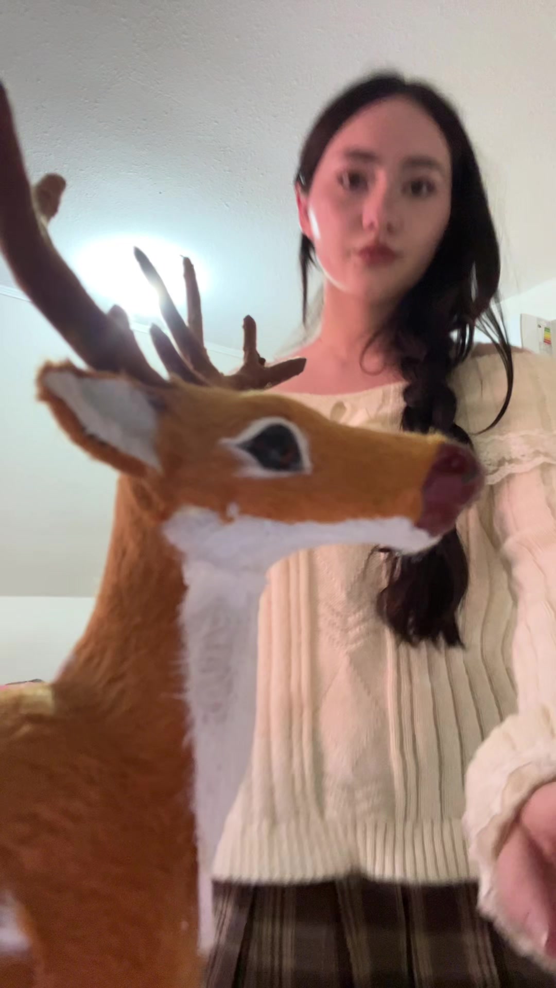 @Ani