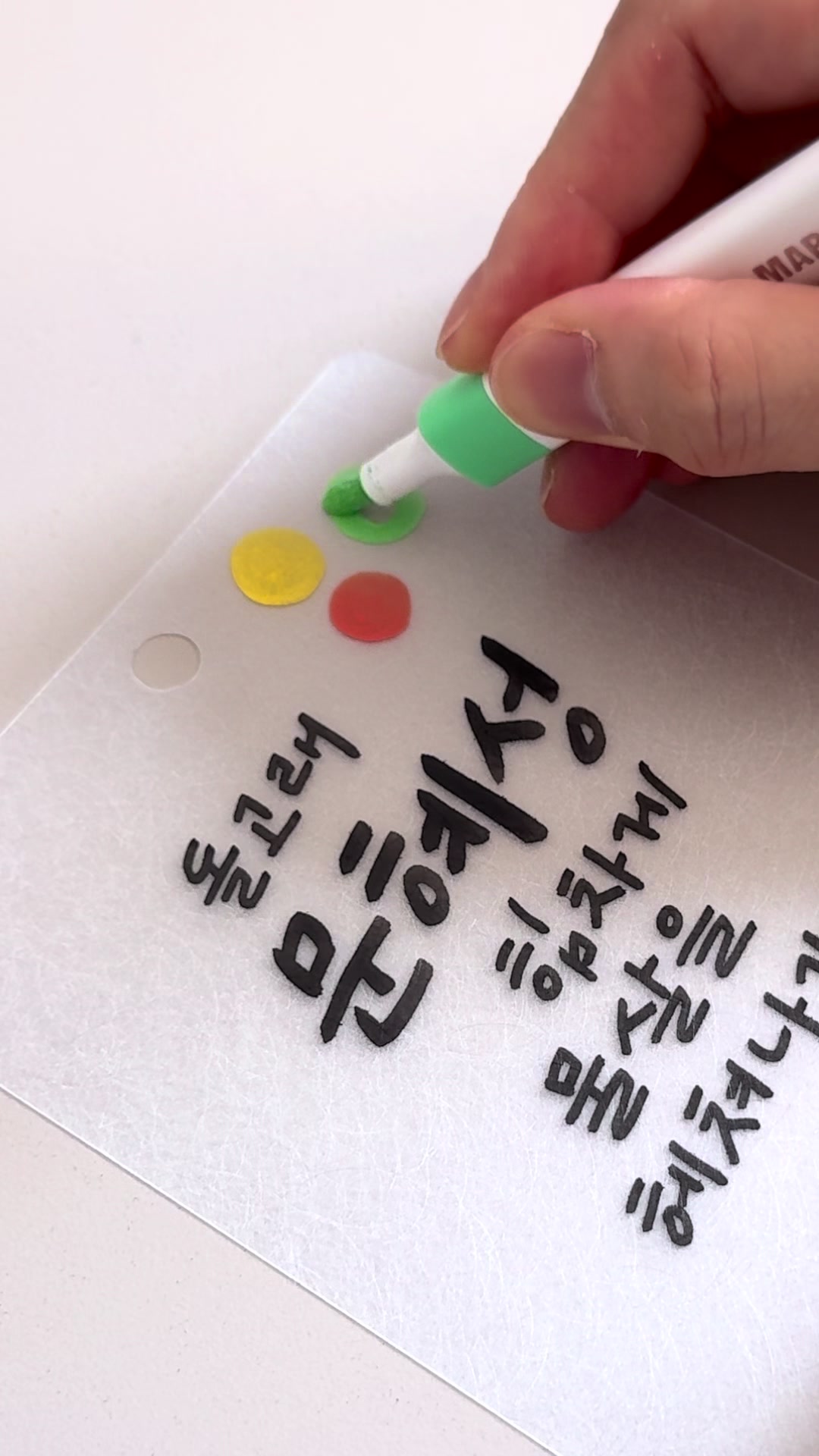 @이느낌 작가ㅣ이느낌 꽃과캘리