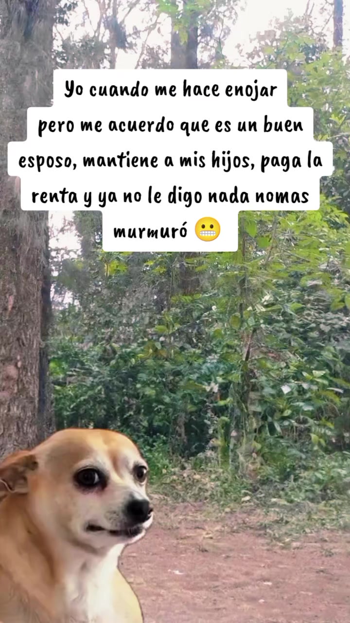 @memestristemariicruz🐈⬛ 🤣😔