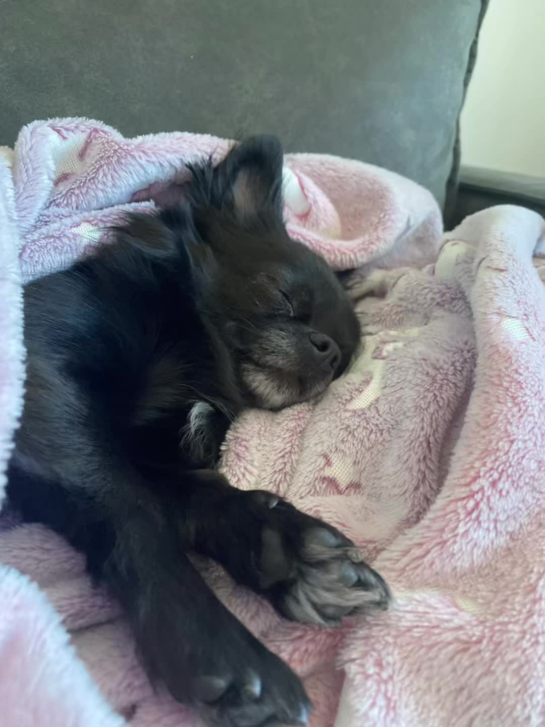 @Liza🐾