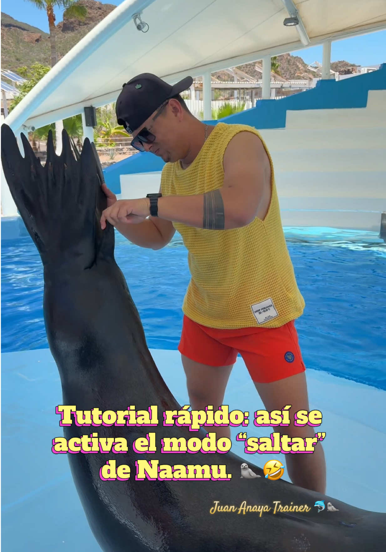 @Juan Anaya Trainer 🐬🦭