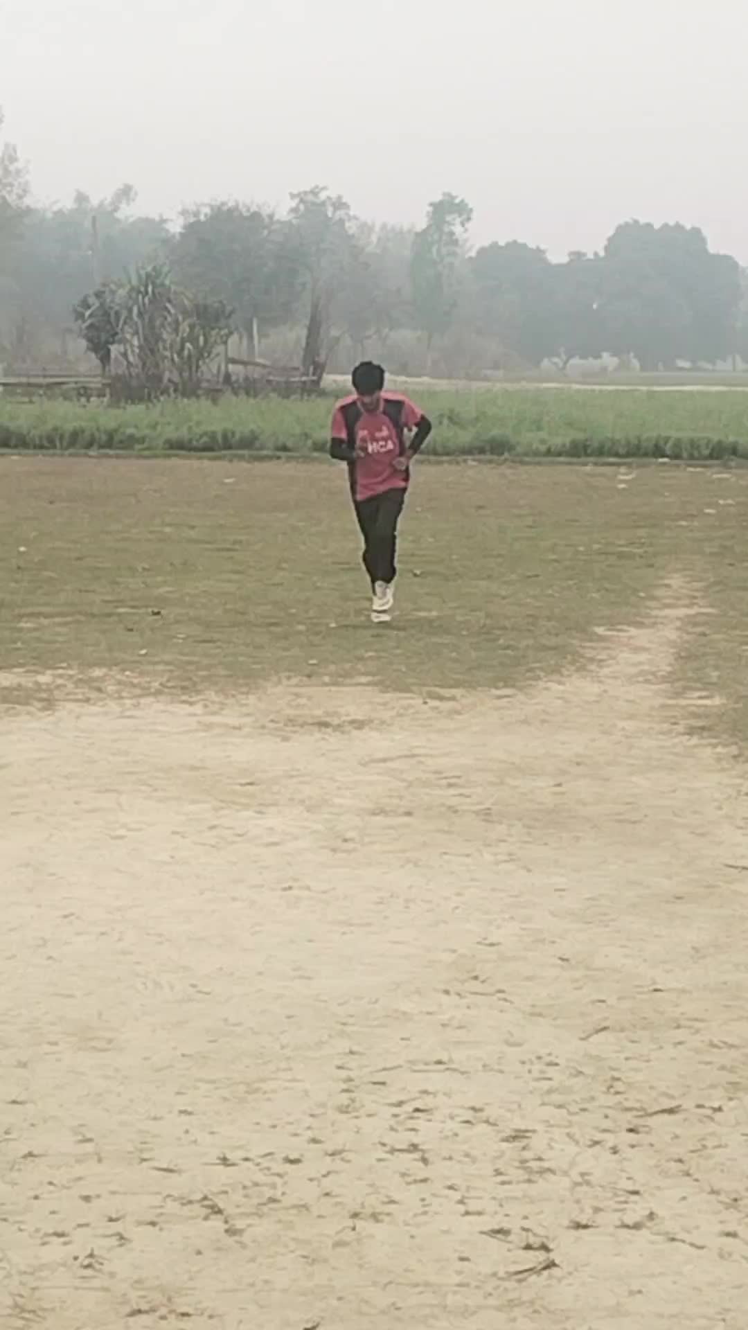 @cricket lovers