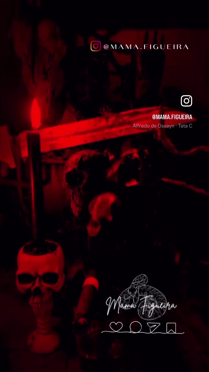 @Mama Figueira