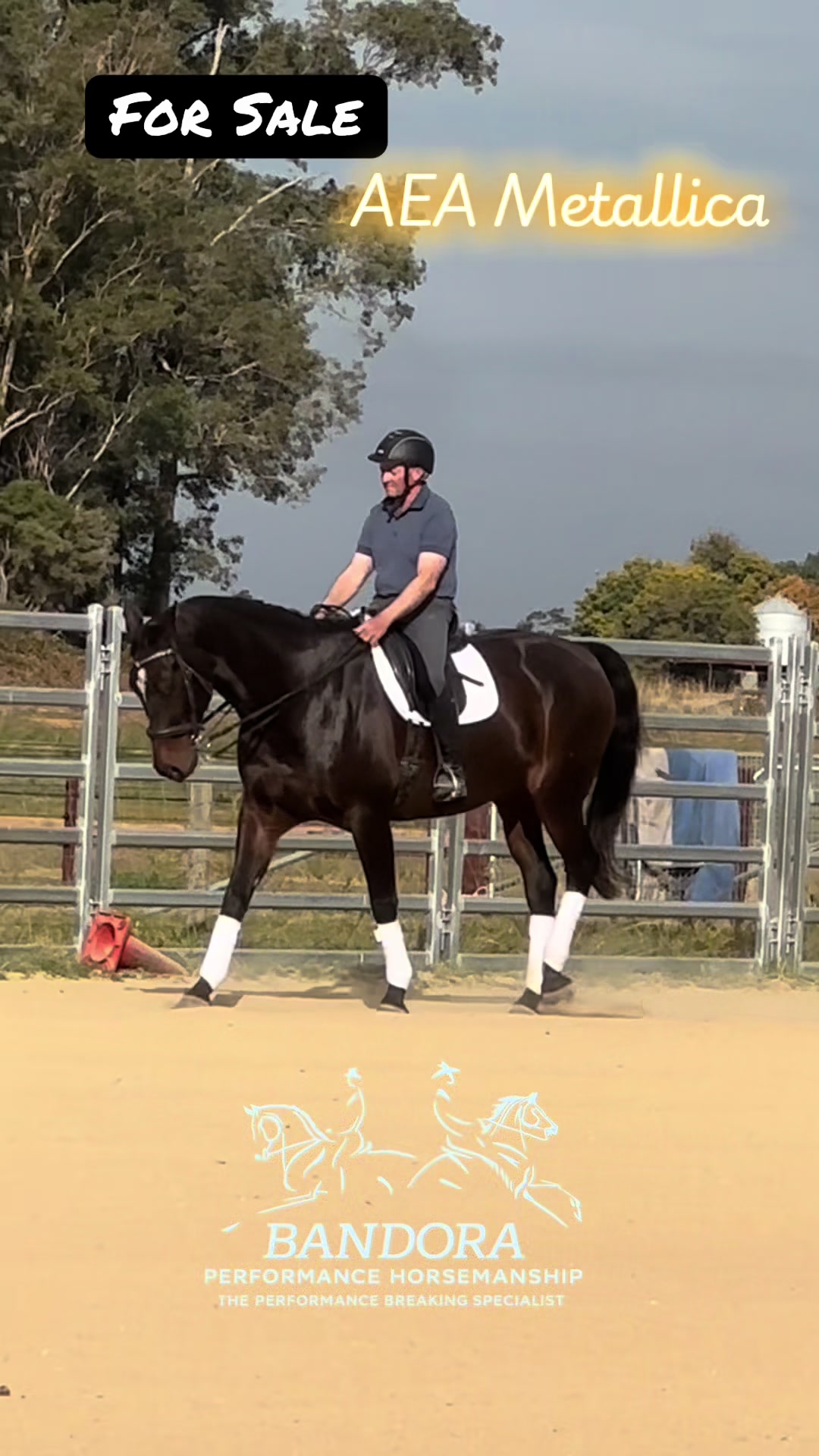 @Bandora_Horsemanship