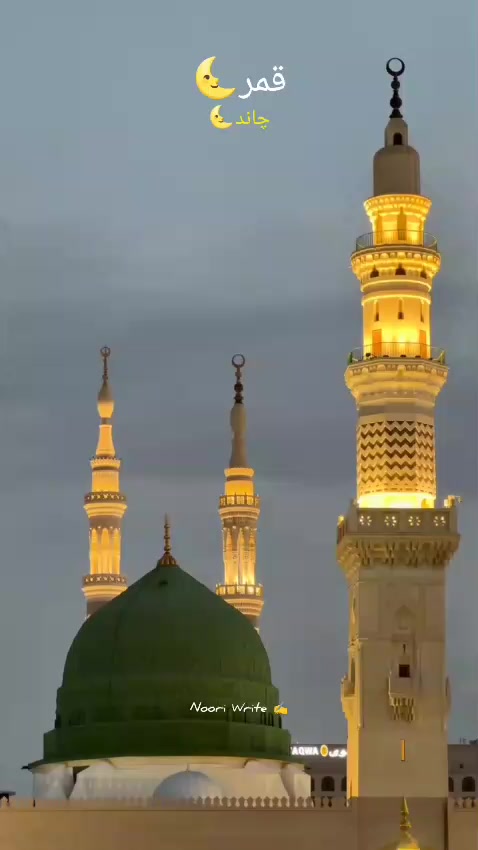 @Noor Ul Ain Ch