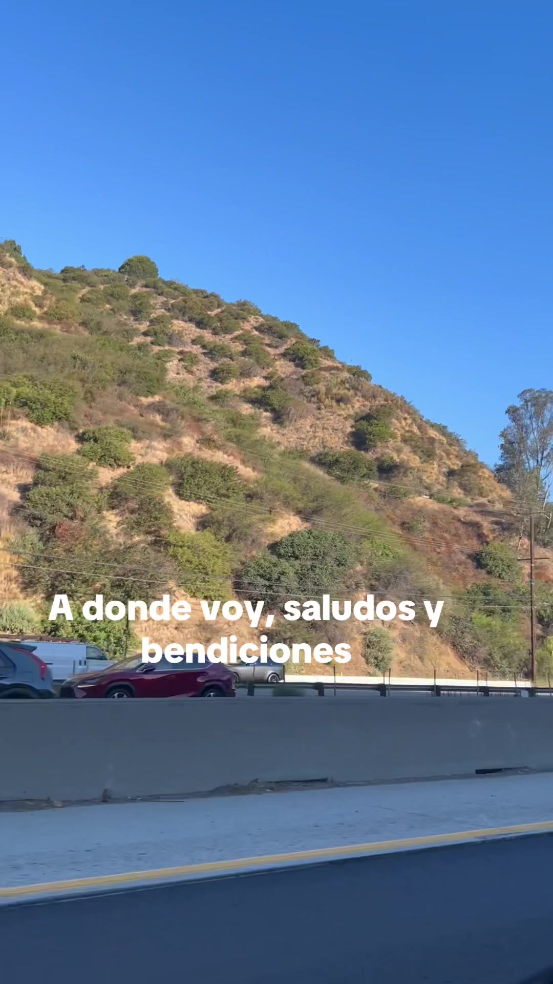 @latiarosa68