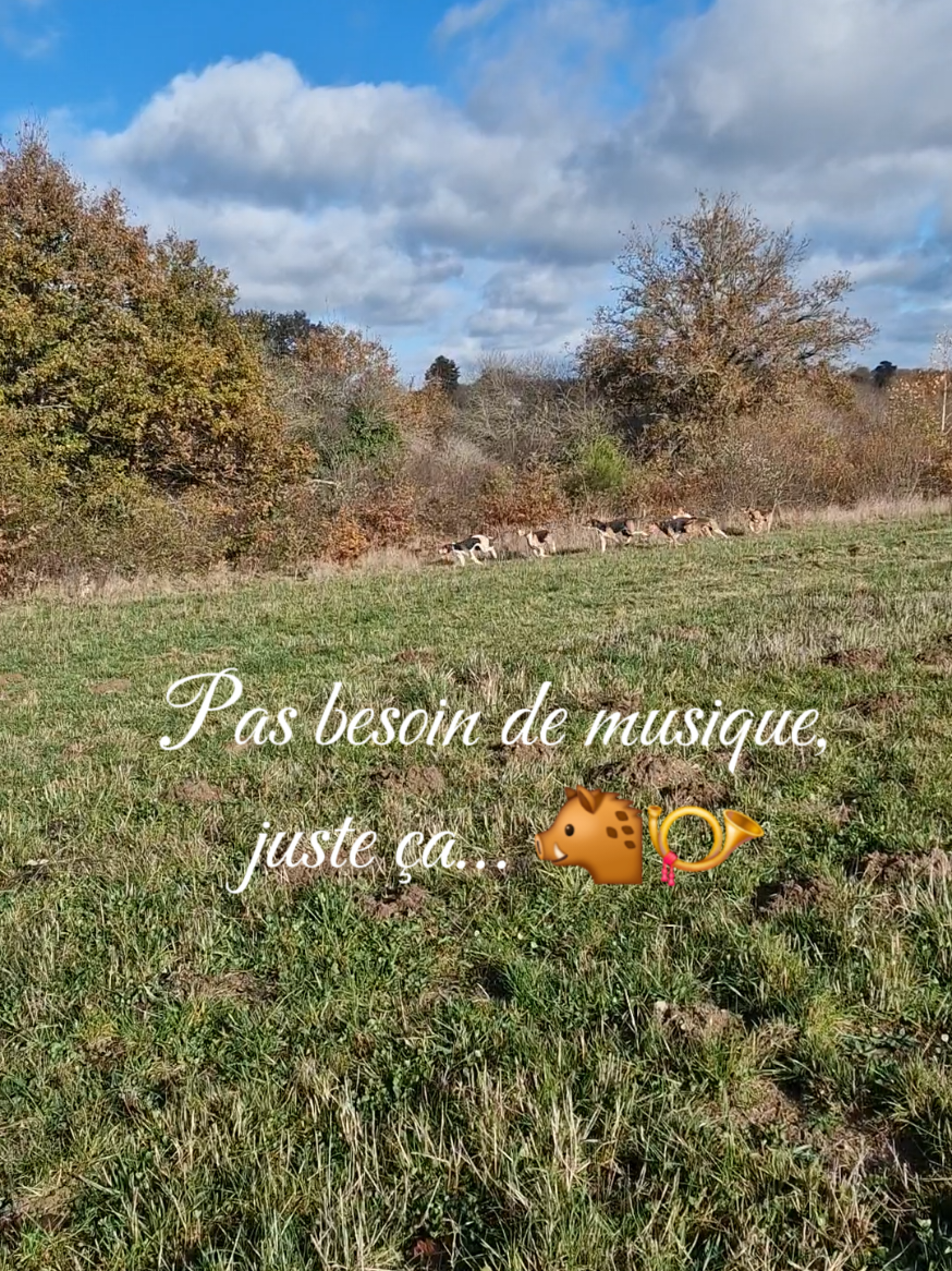 @📯herter.ophelie📯