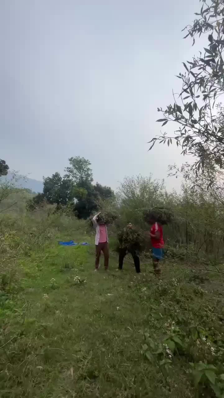 @kumar bhandari