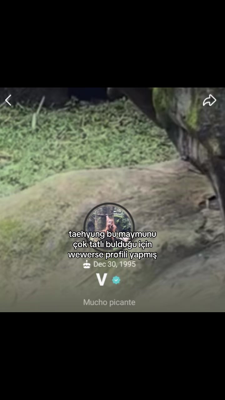 @lurevwq