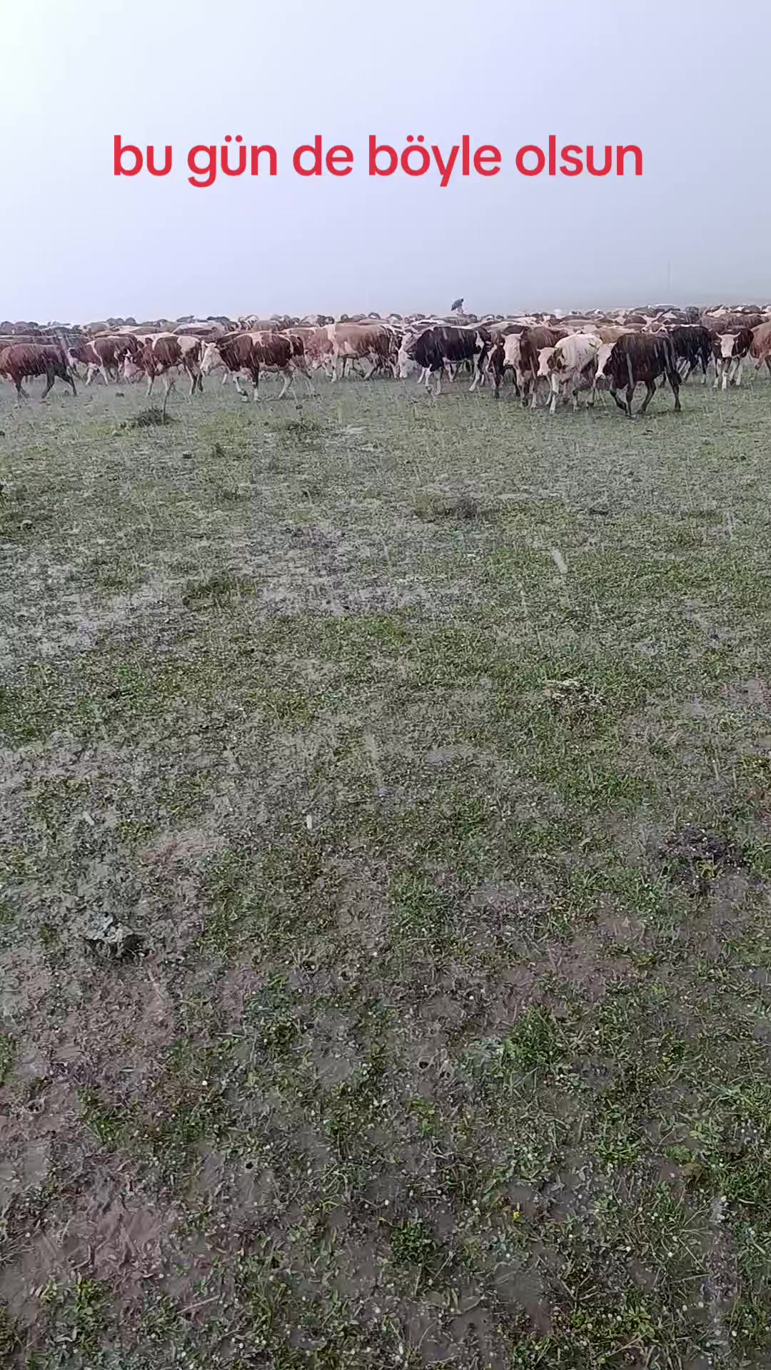 @FERHAT ÇUKU 76☀️