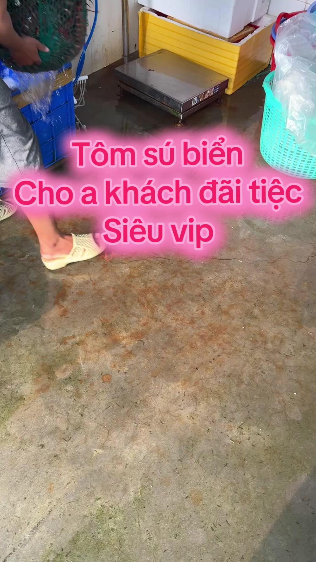 @Thịnh Sú Biển