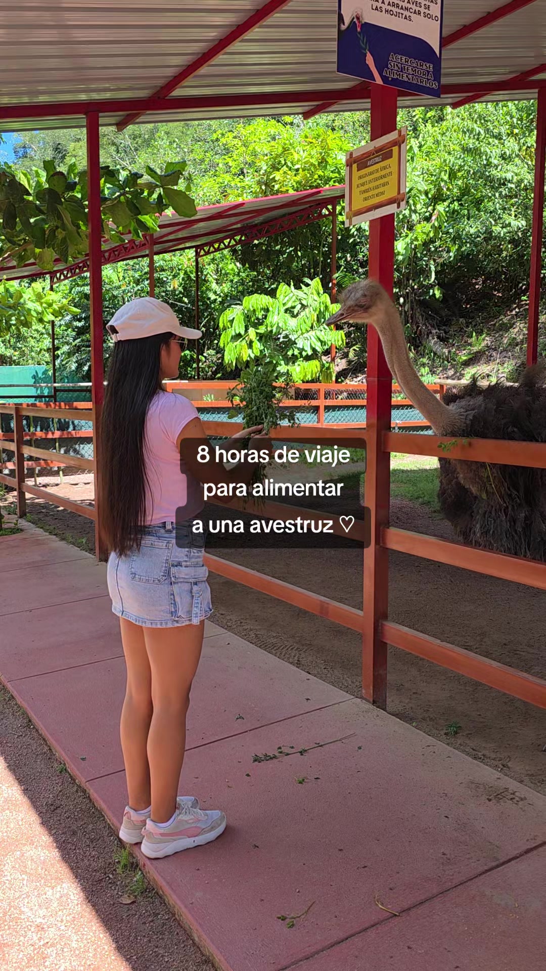 @Evelyn 🍀