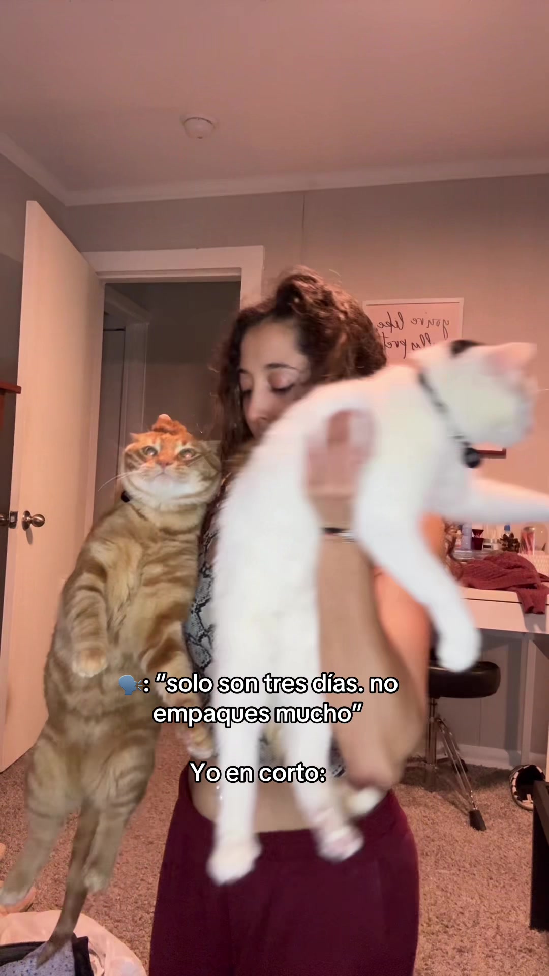 @Jess🐱🧡