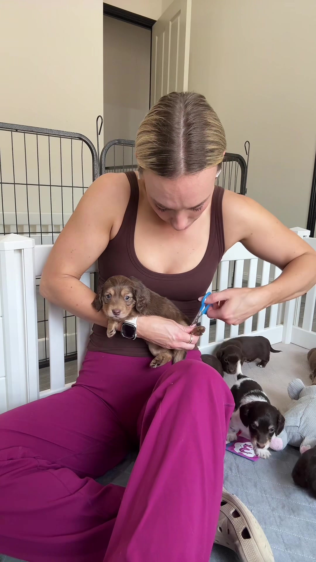 @Dachshund Dynasty