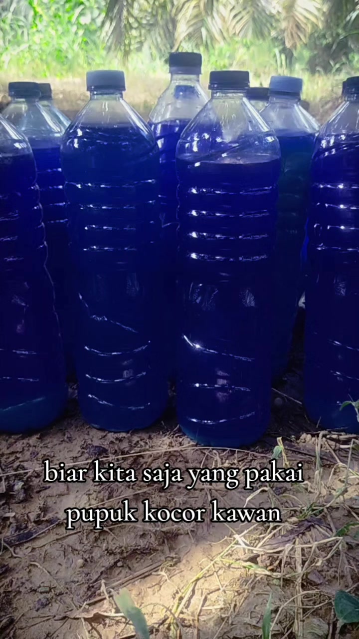@sawit muratara