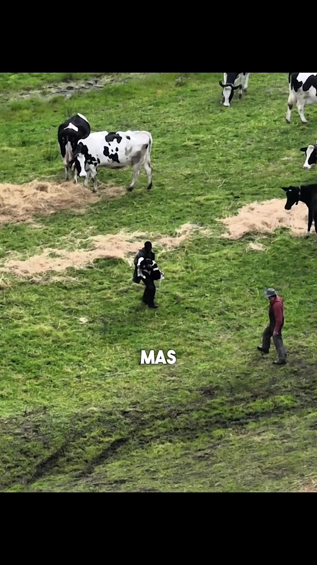 @Carne &eacute; cruel