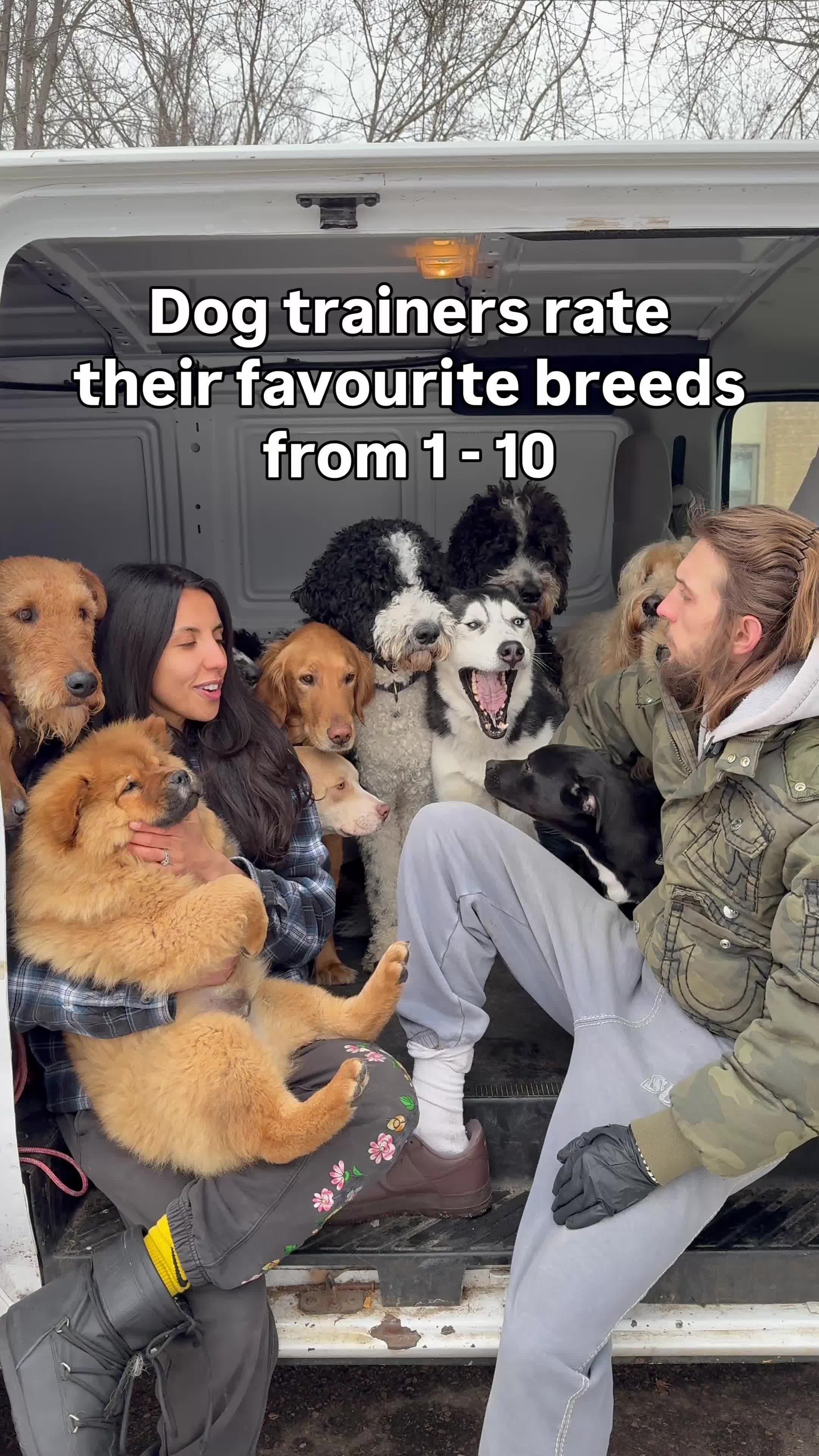 @CherryHoggs