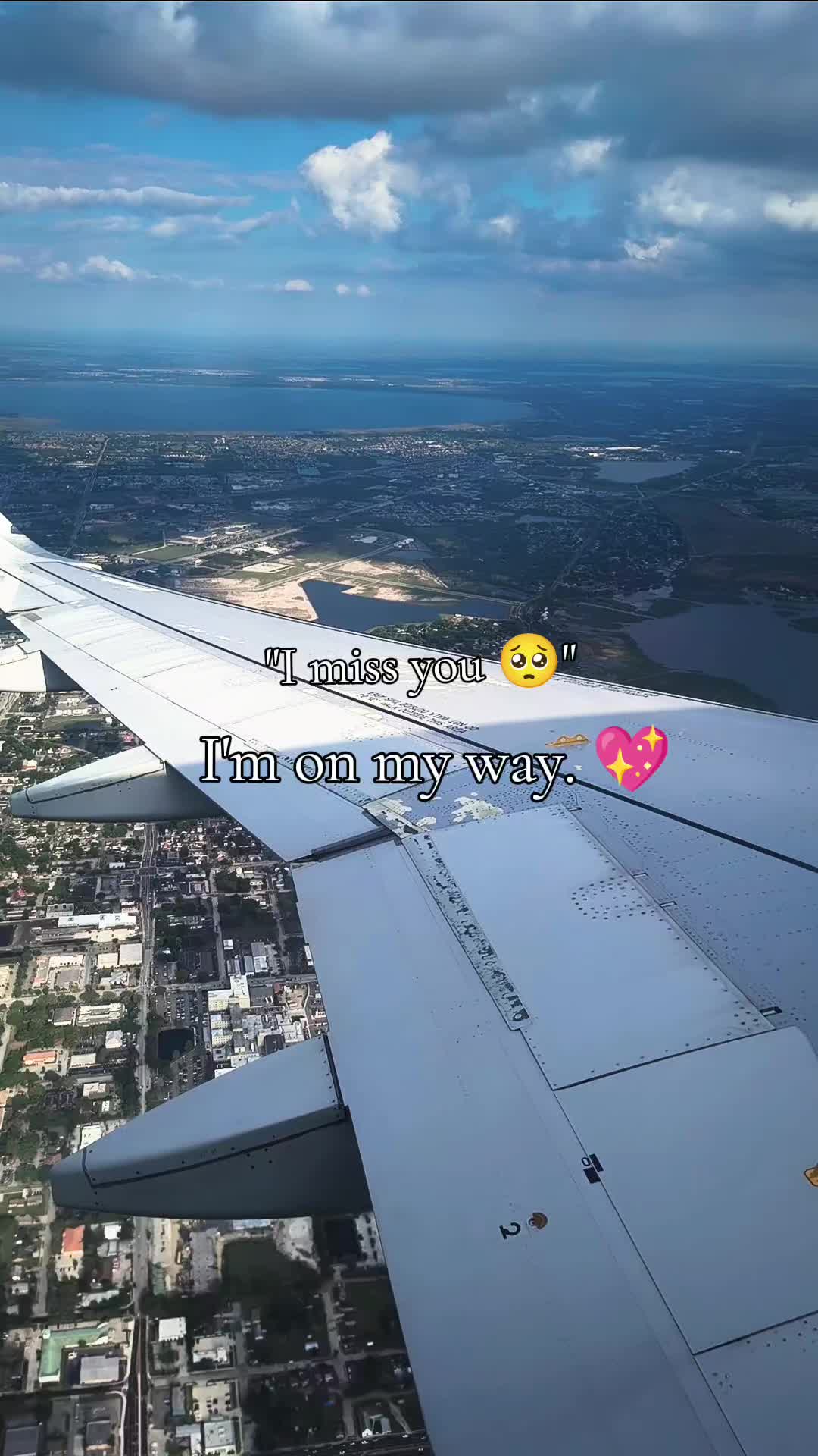 @🦋 Kota 🦋