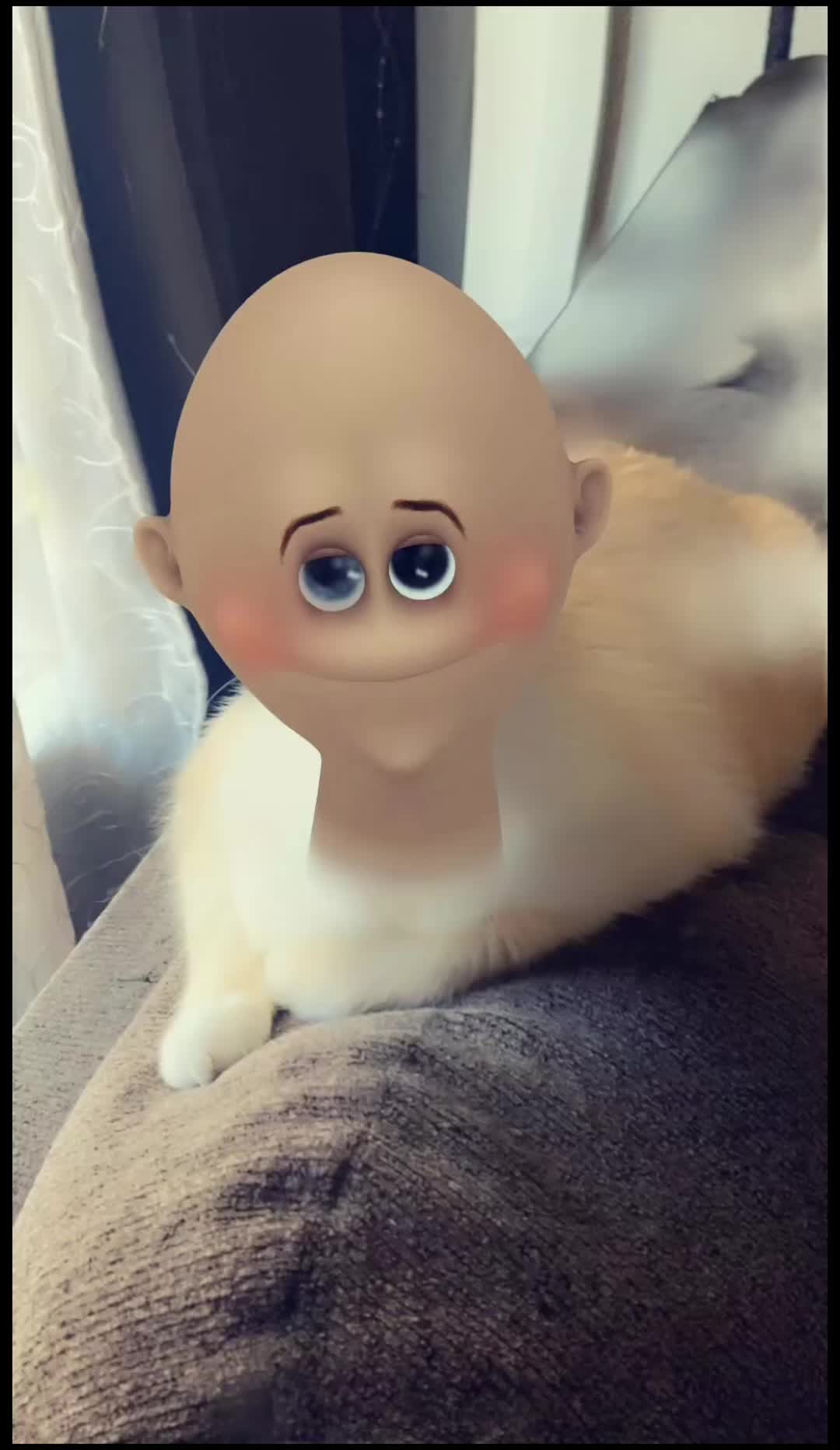 @JJsigma