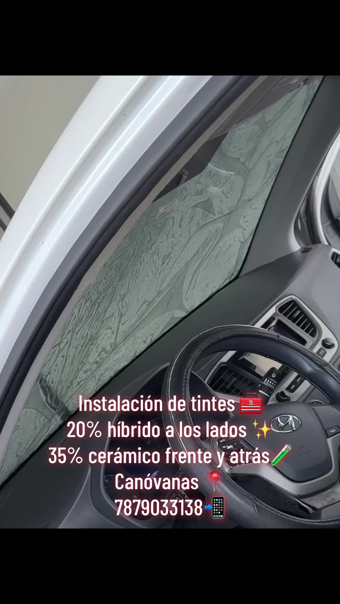 @FrancesTintLab