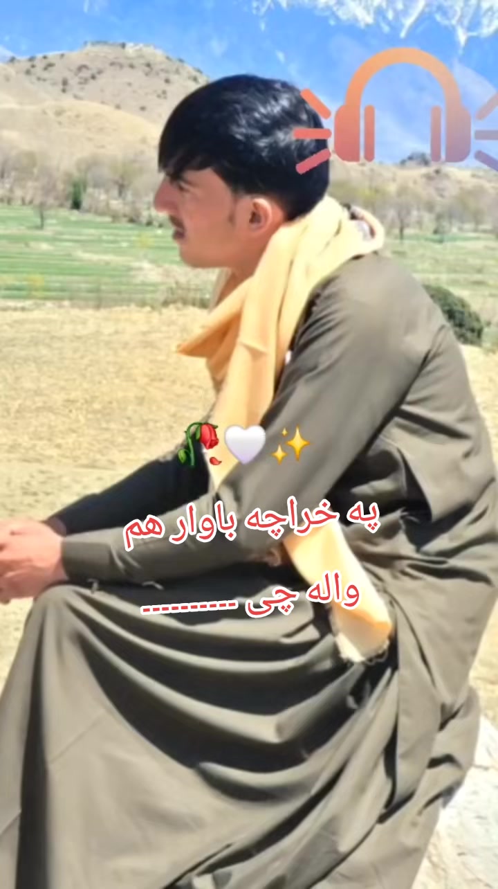 @Arman Phasha