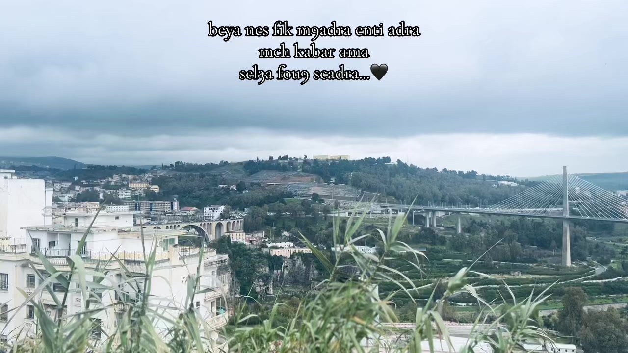 @mizosamra1