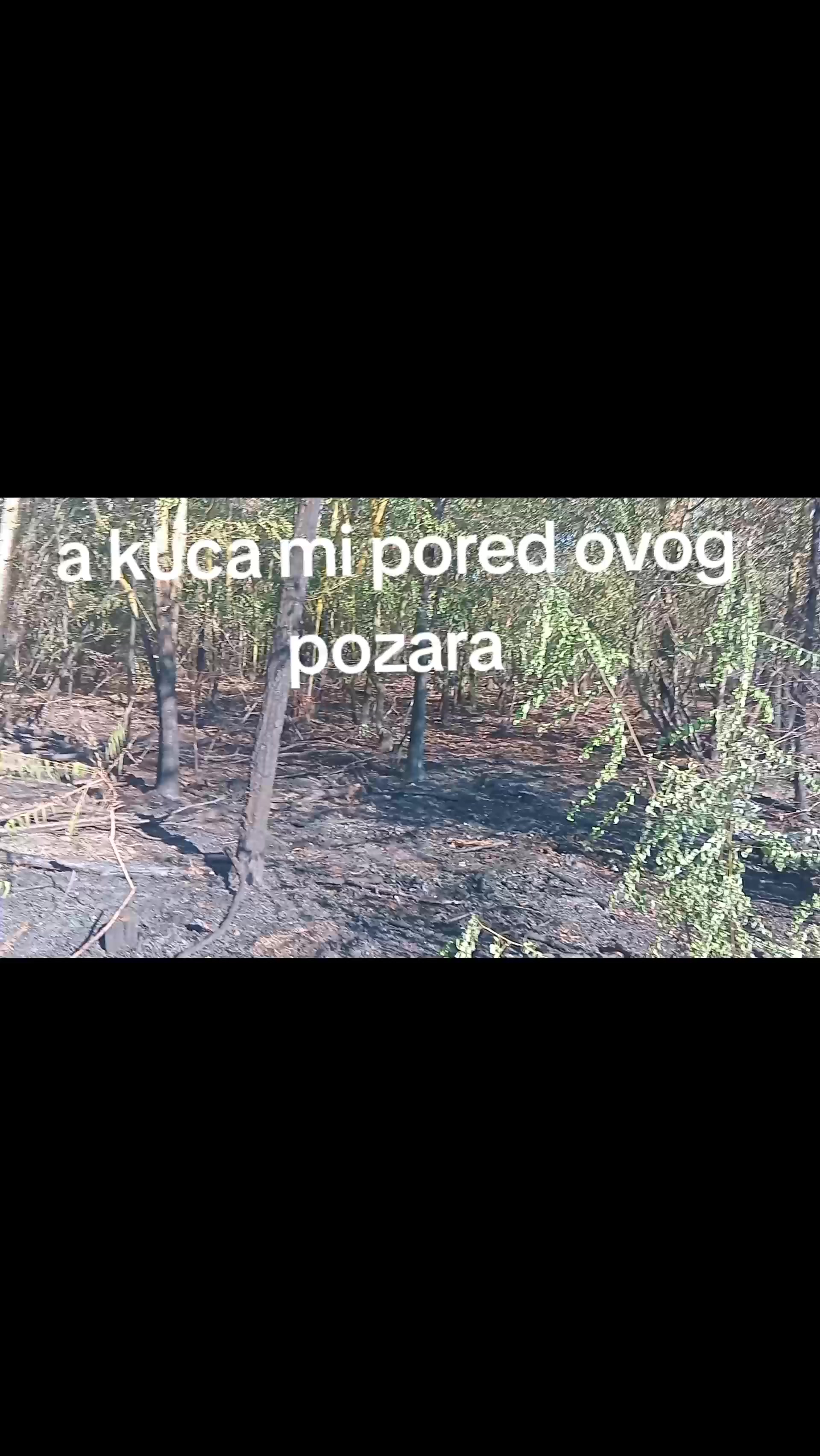 @Mladen Djurdjevic