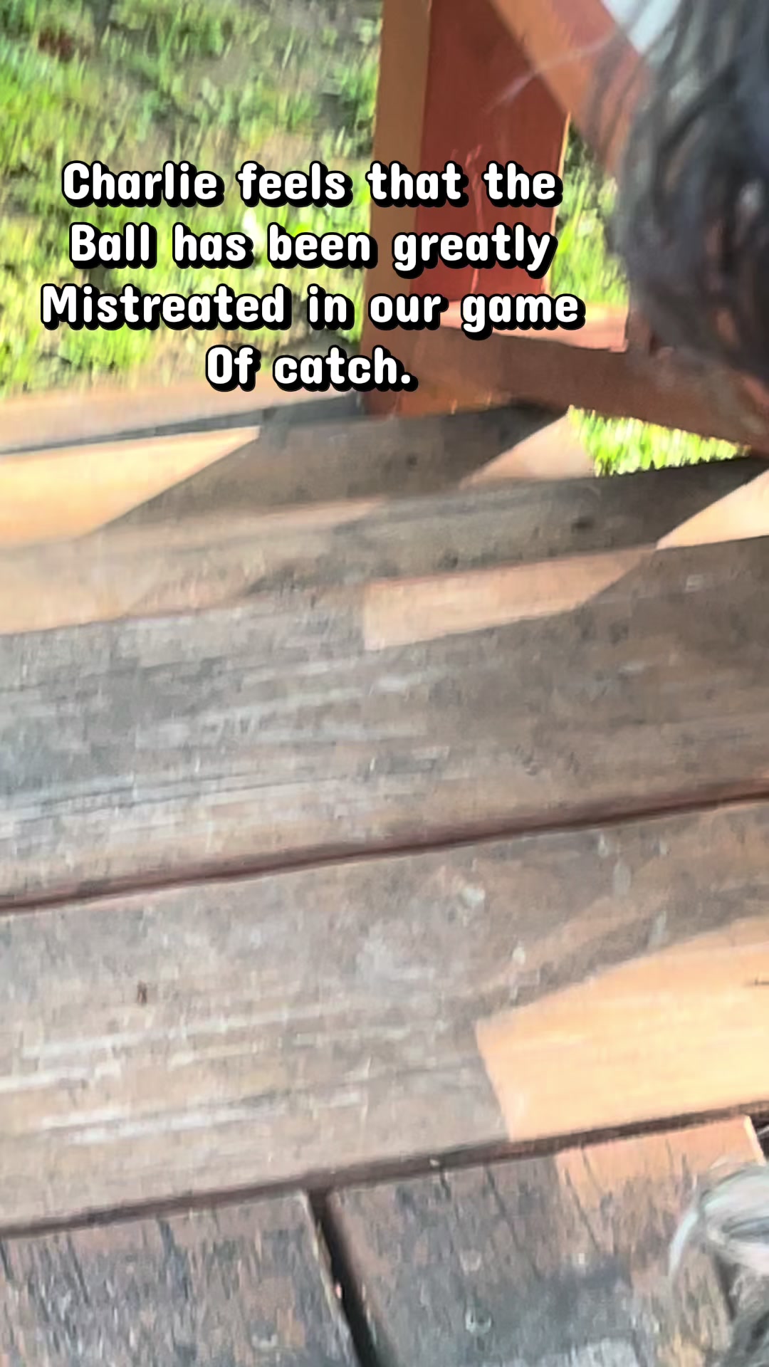@Critter_Farm
