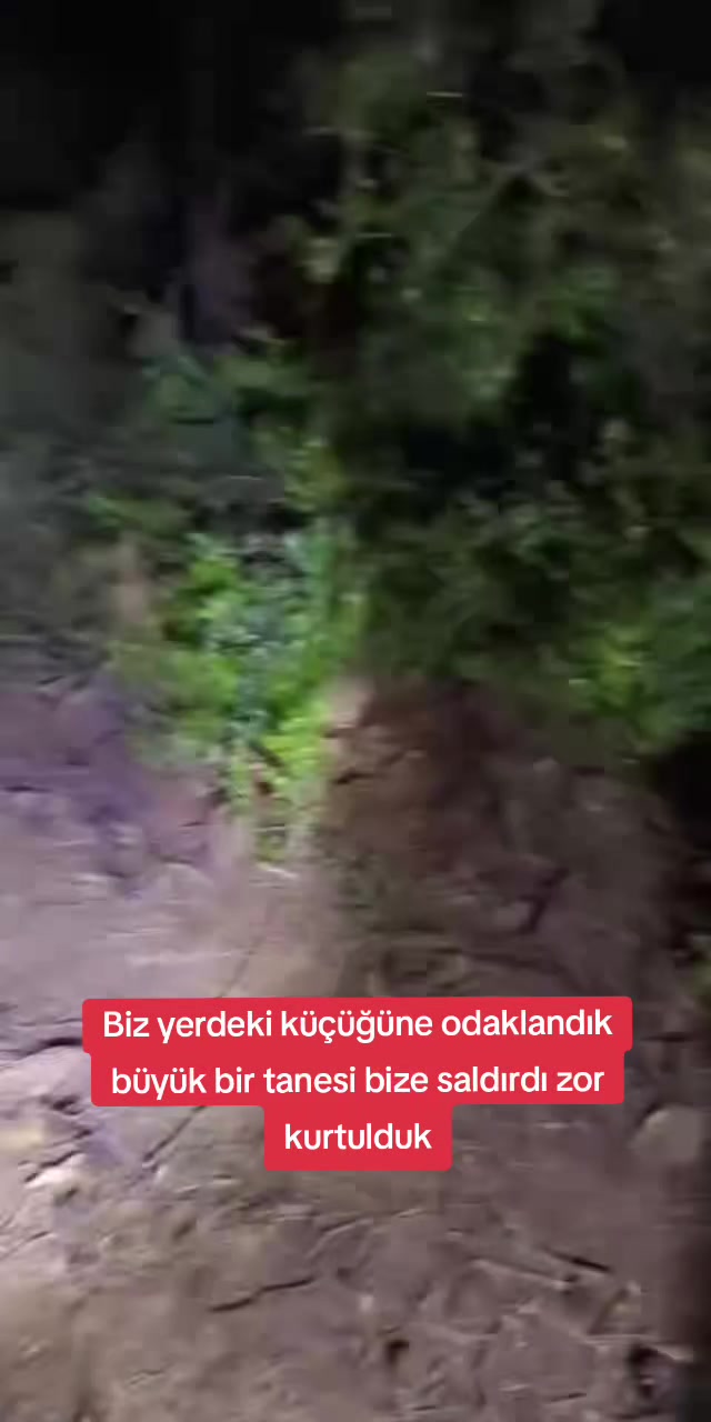 @PARANORMAL SİNAN