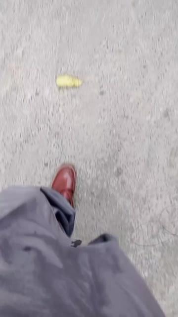 @saqib ali 123