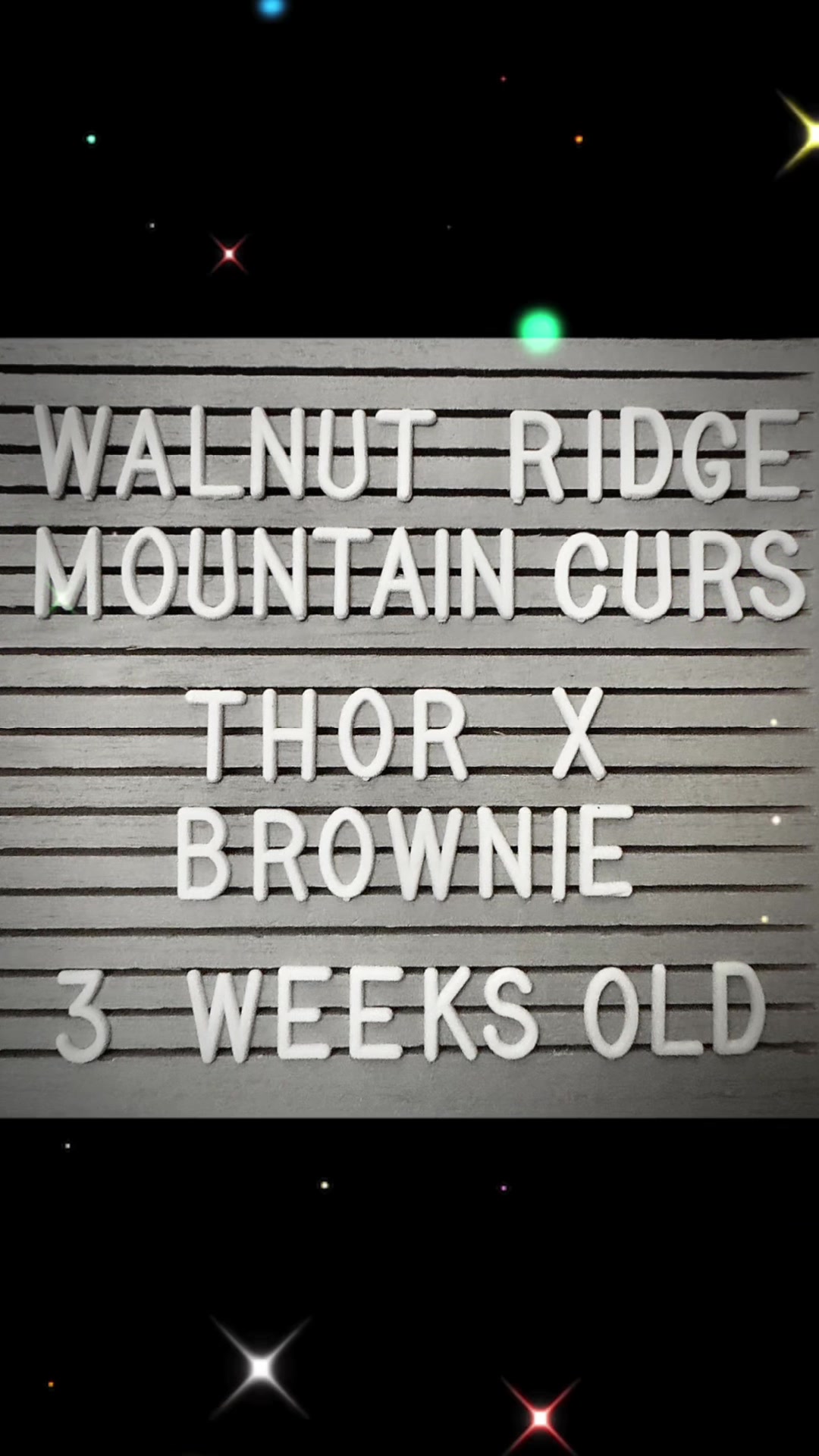 @WalnutRidgeMountainCurs