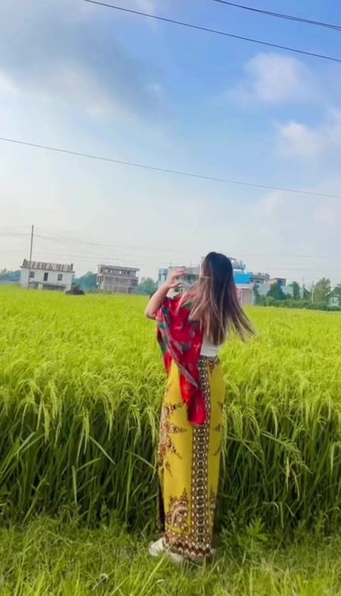 @Yangzi