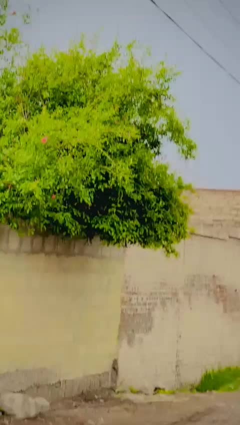 @Insaram Niazi