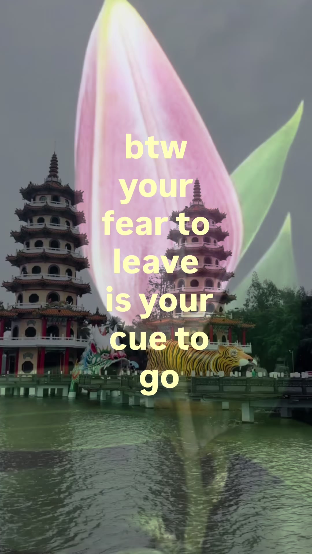 @Rose