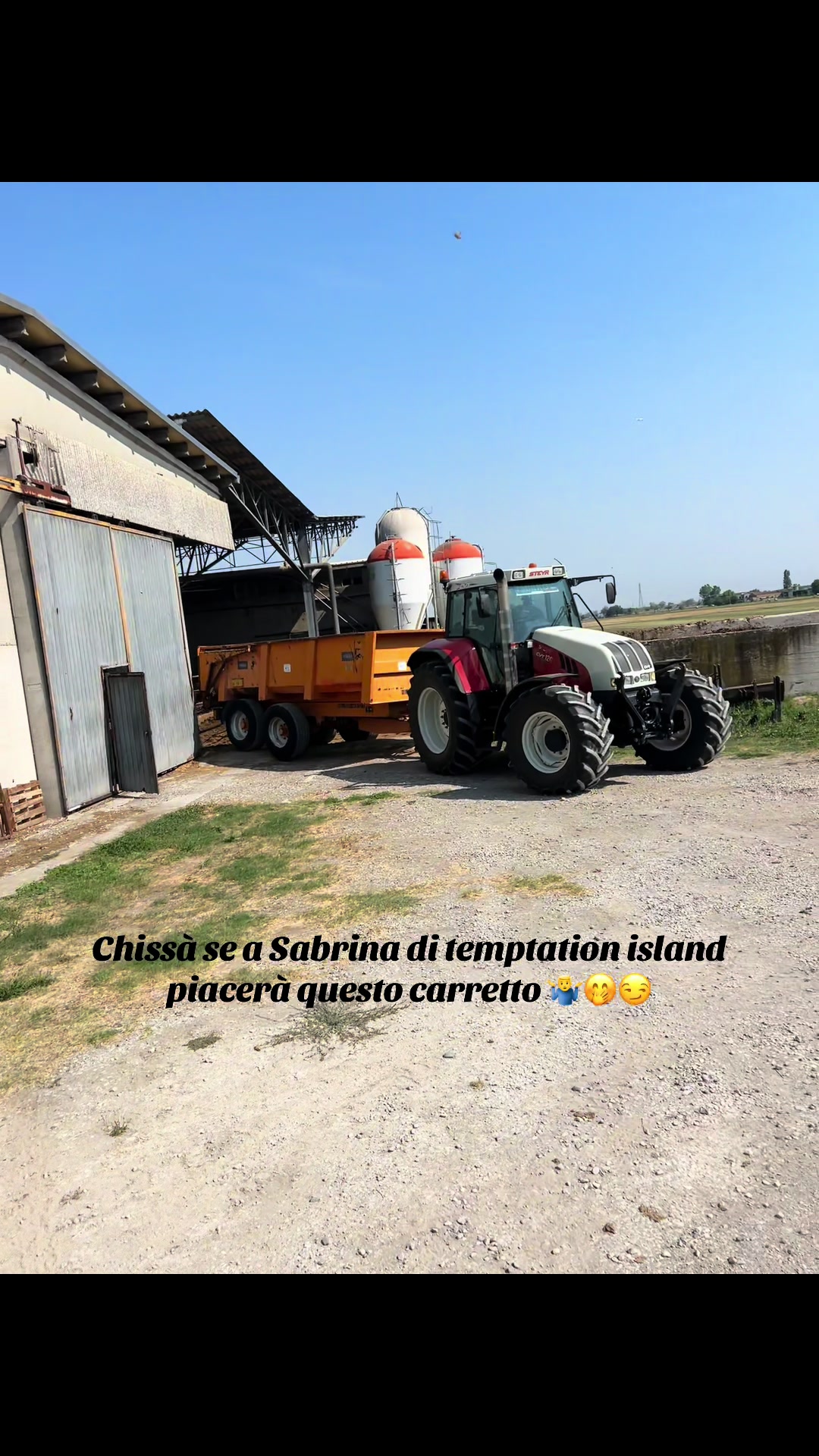 @Mirko Farmer