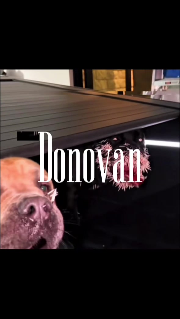 @donovan