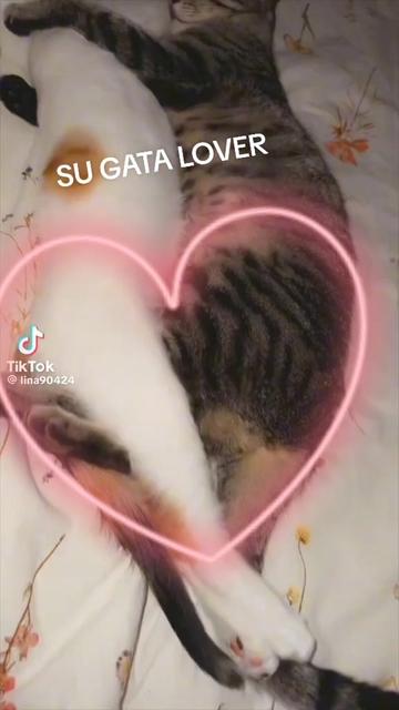 @~LuI&sect;~EL Unico 😁😁😆