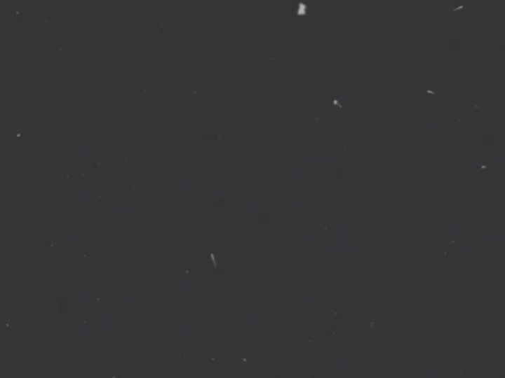 @каприза пандалины