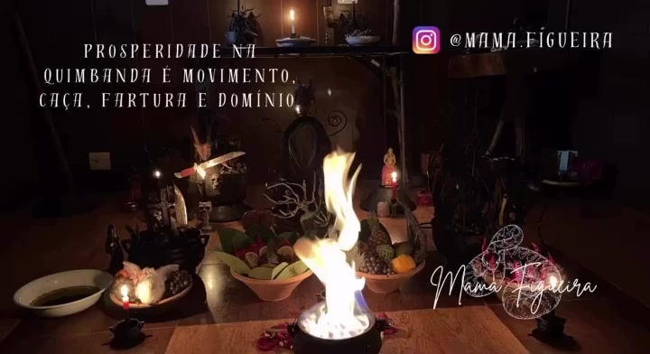 @Mama Figueira