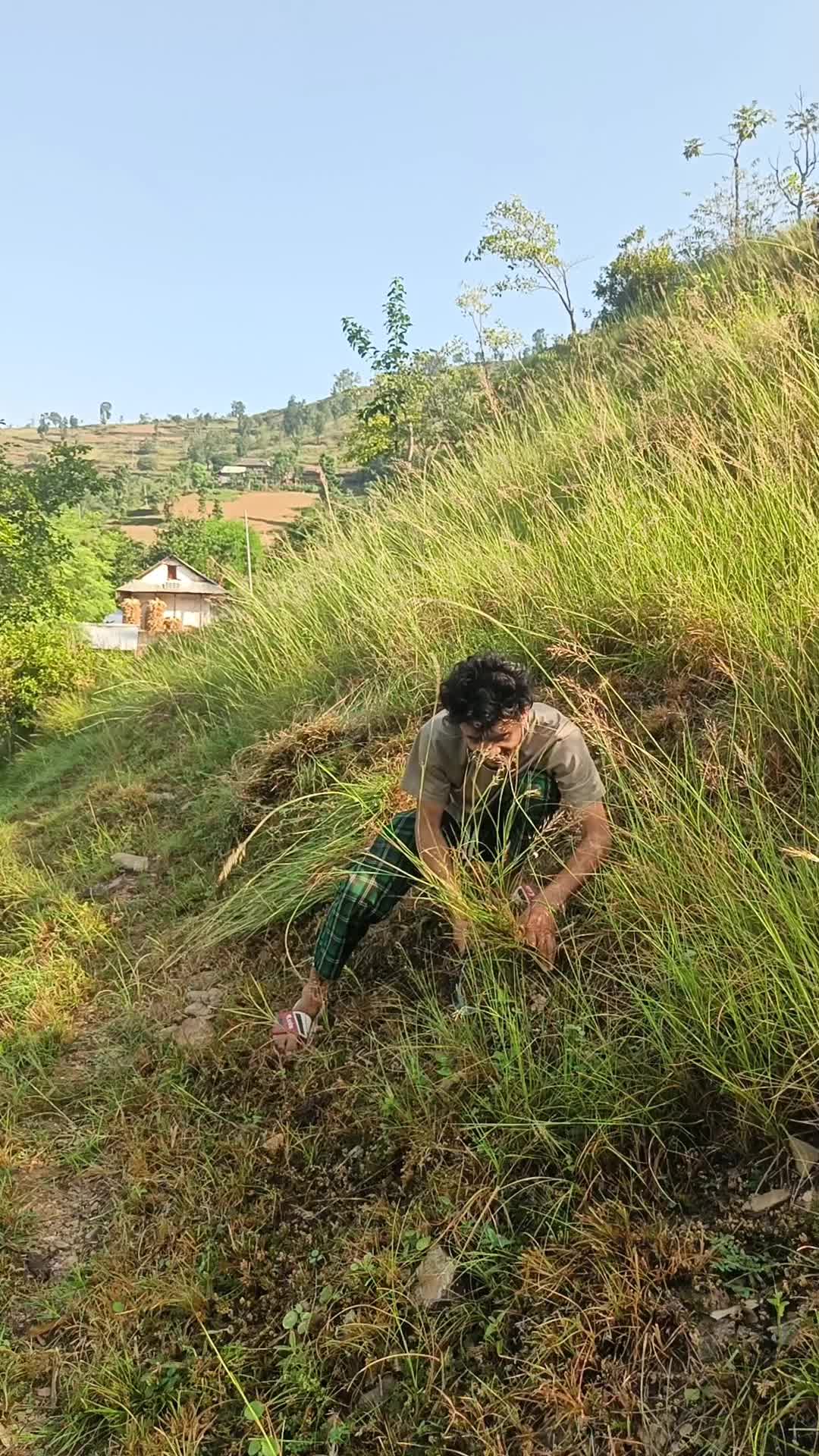 @मोहन खड्का