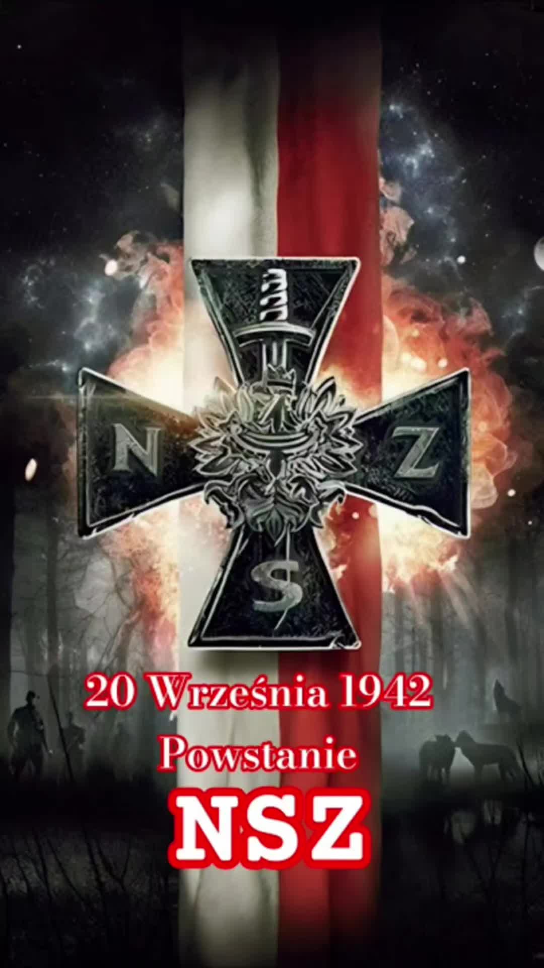 @NSZ-Nowa generacja1