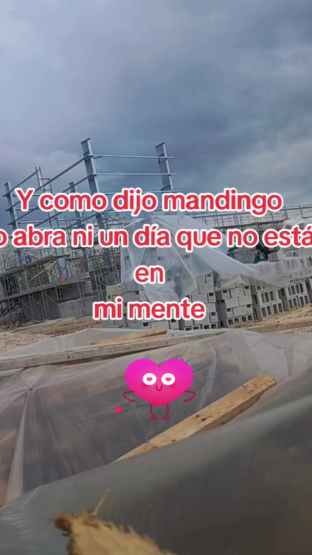 @🍀🍀b&eacute;lico 502 💯💯💯