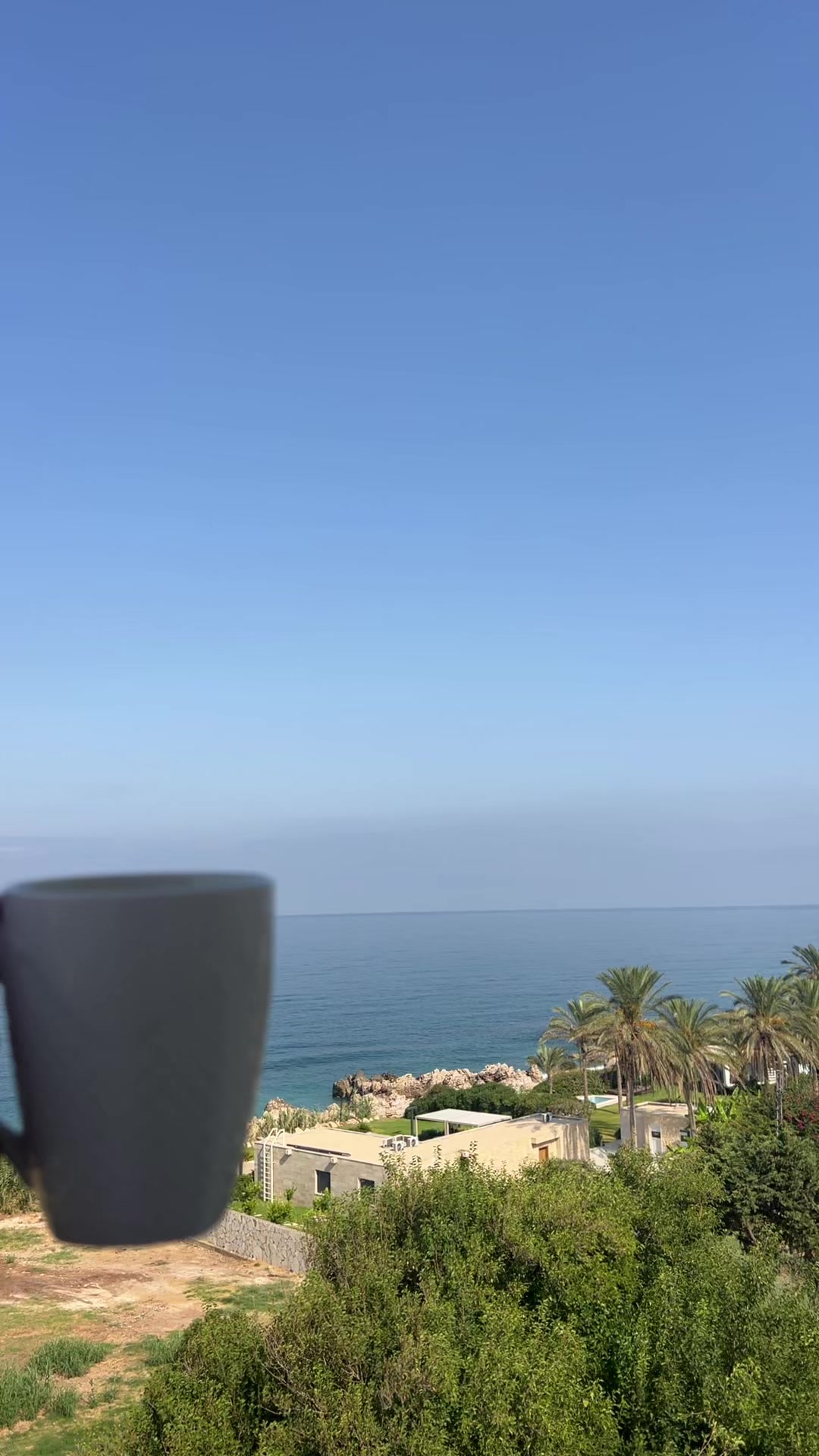 @Maykel Tannous