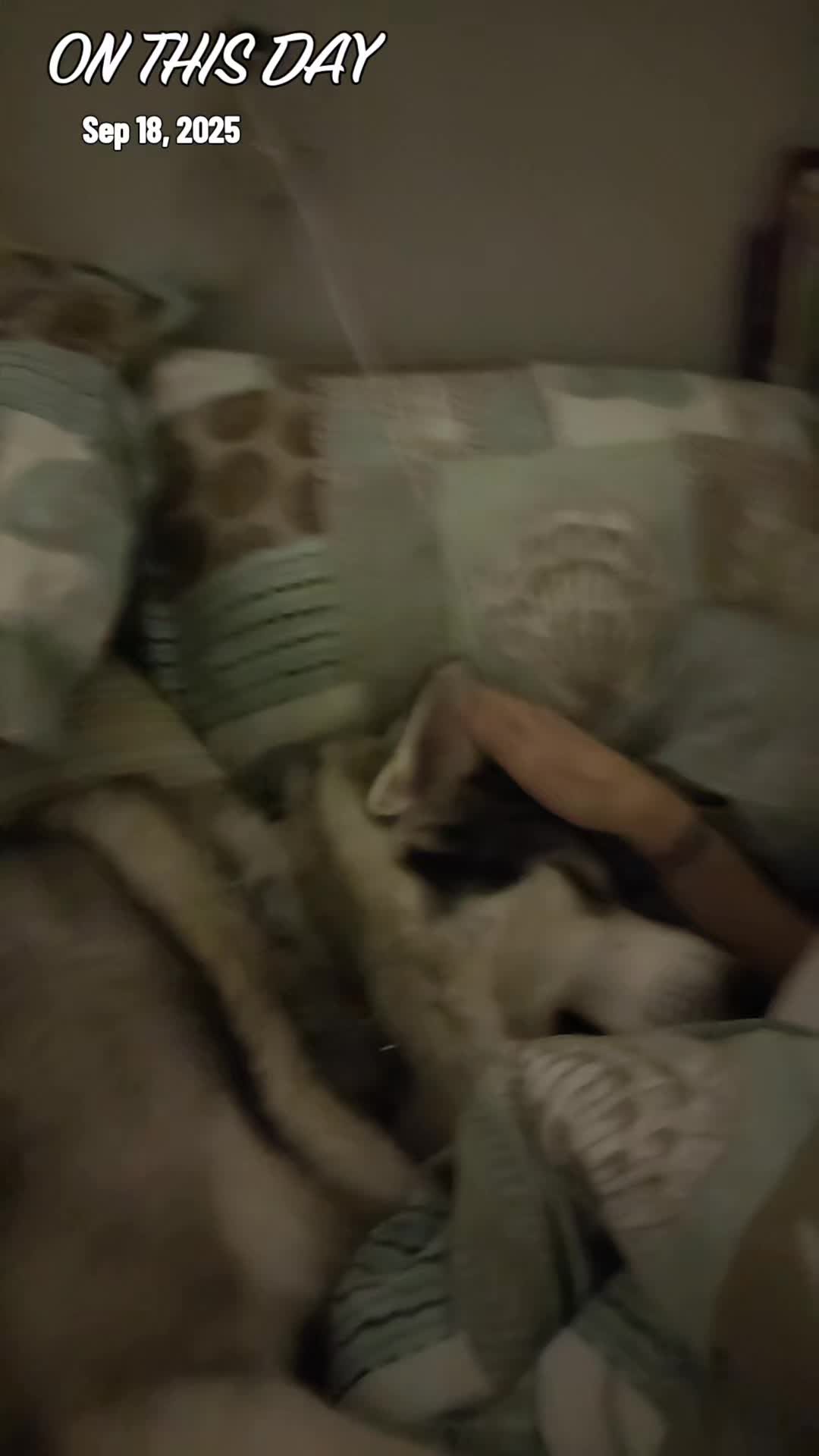 @Sabrina