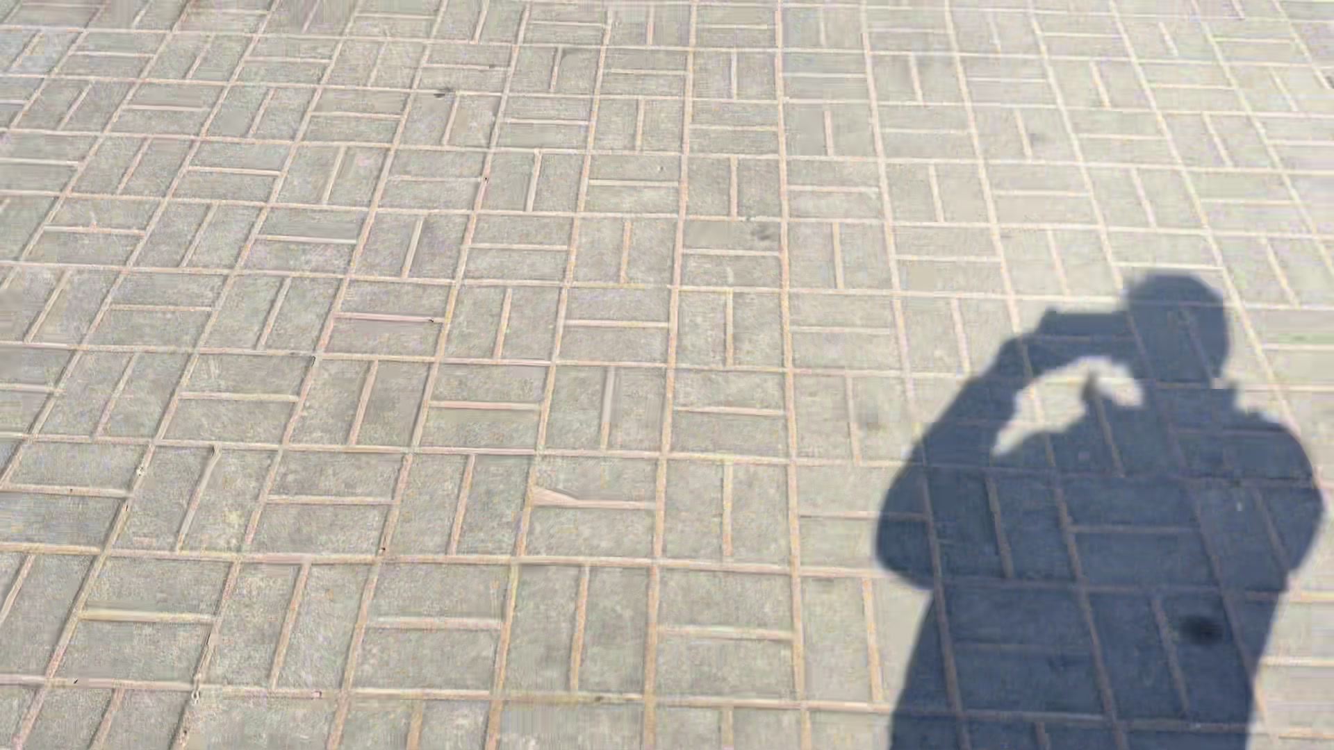 @ععَبود