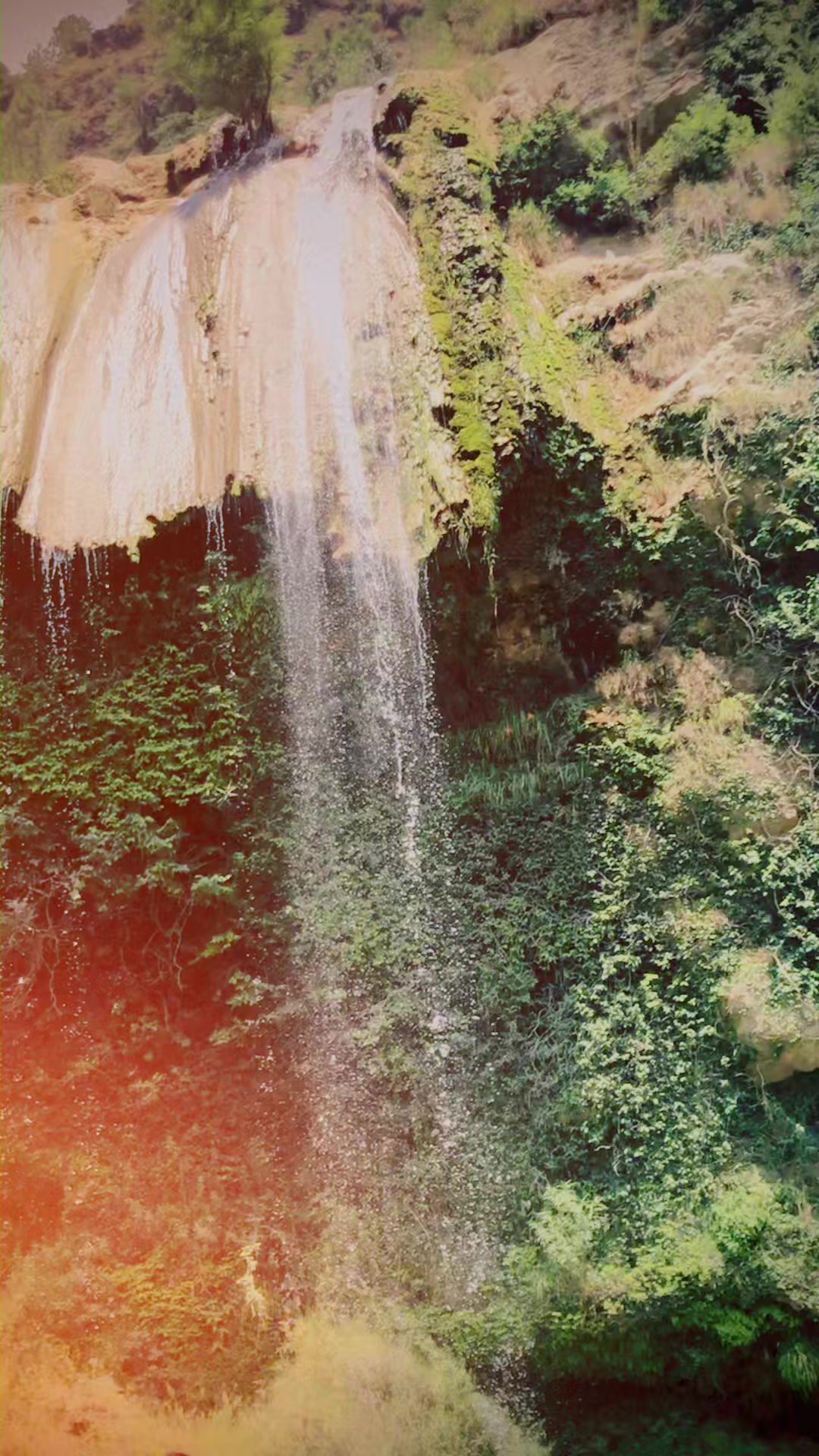 @𝘾𝙝 𝙒𝙖𝙟𝙖𝙝𝙖𝙩