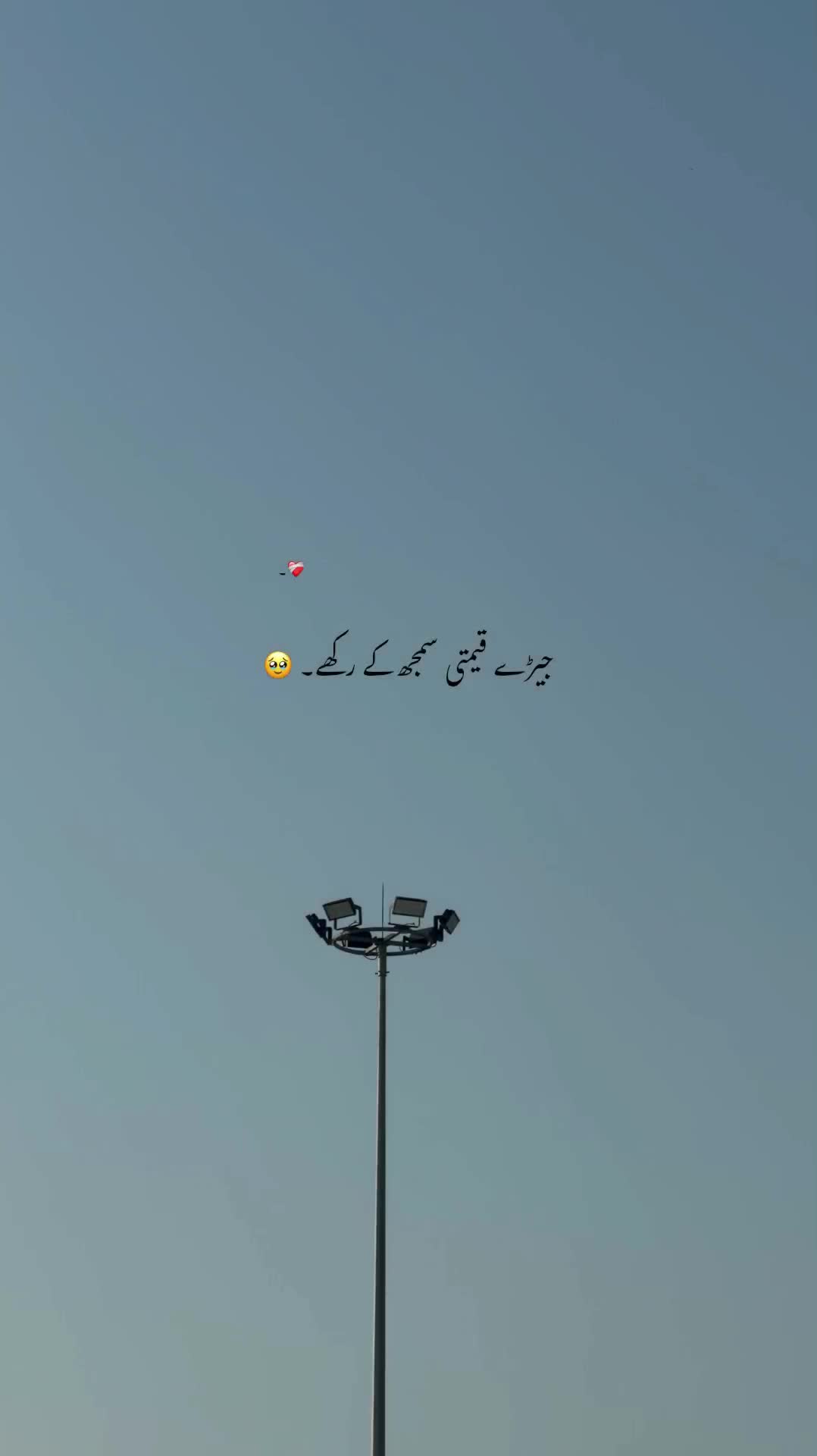 @💸 ⋆
