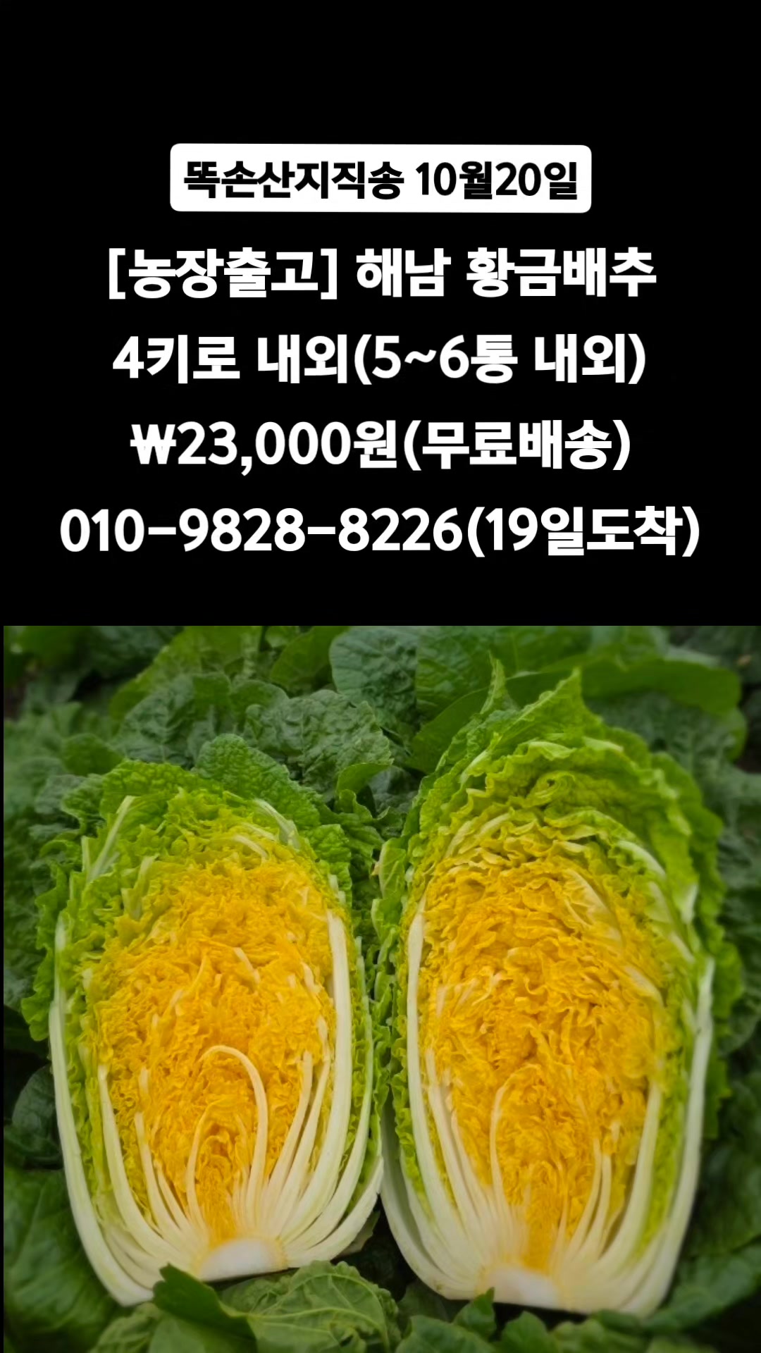 @똑손